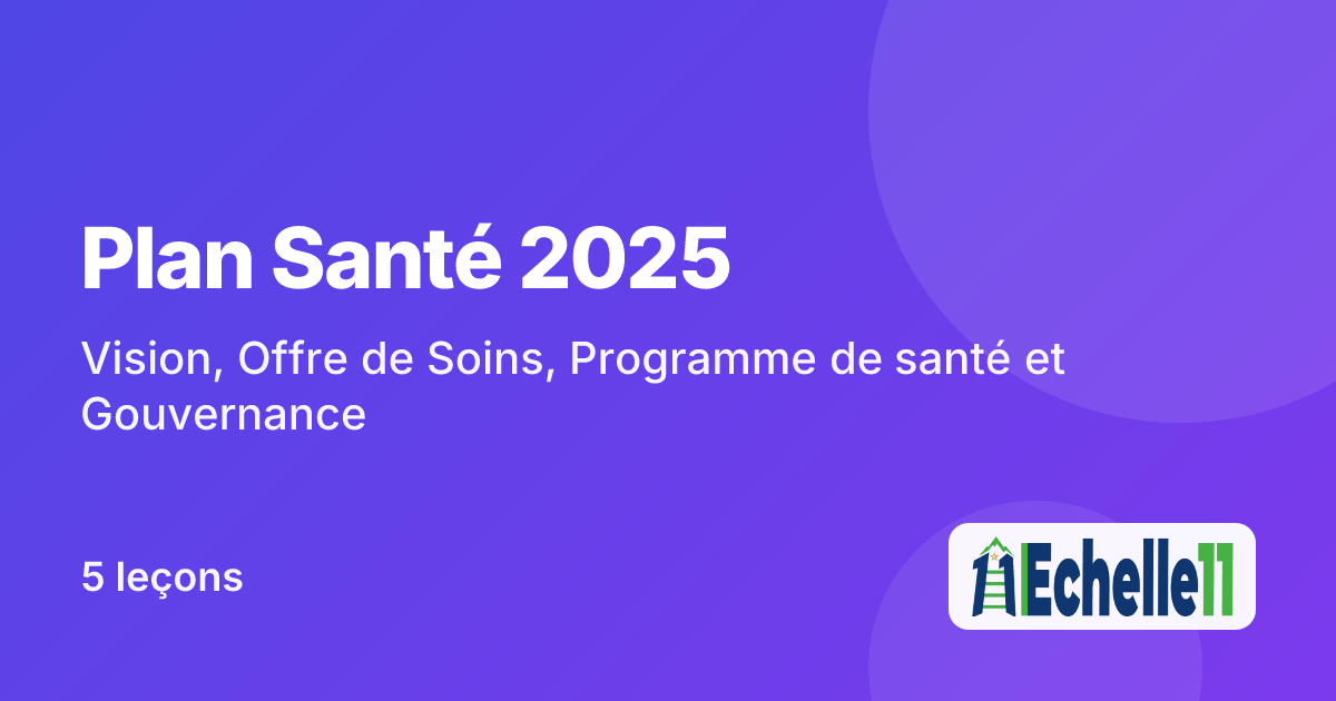 Cours : Plan Santé 2025 : Vision, Offre de Soins, Programme de santé et Gouvernance 