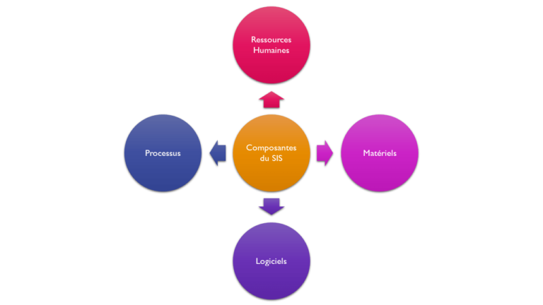 Composantes du système d'information en santé